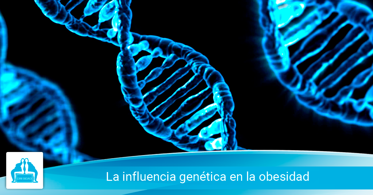 La influencia genética en la obesidad